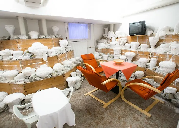 Matyas Kiraly Gyogy- Es Wellness Hotel