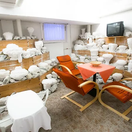 Matyas Kiraly Gyogy- Es Wellness Hotel