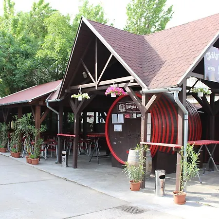 Mátyás Király Gyógy- és Wellness Hotel 3*