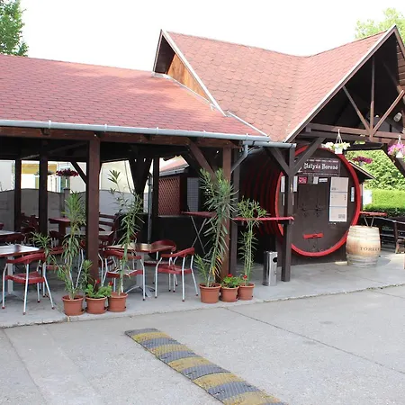 玛提亚斯国王spa康体酒店 Hajdúszoboszló
