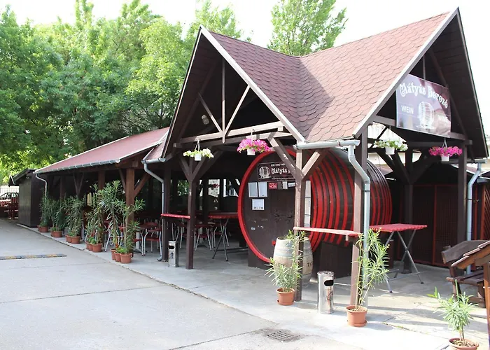 Matyas Kiraly Gyogy- Es Wellness Hotell 3*